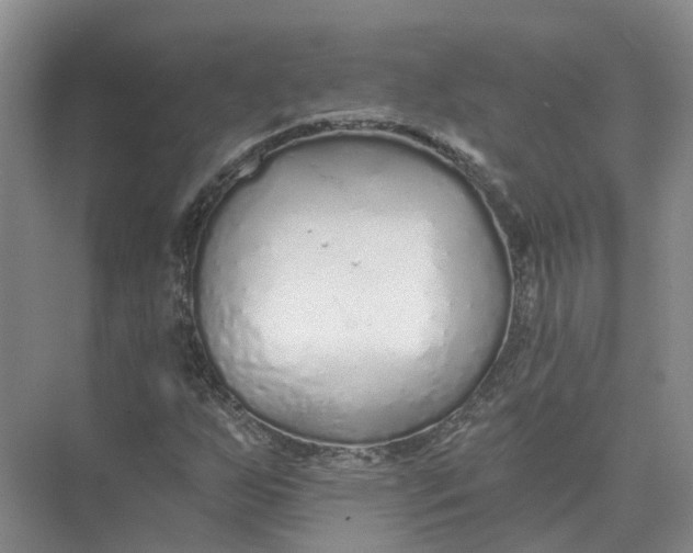 X0000073831255200608311859