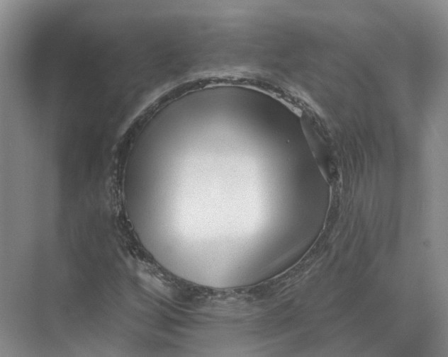 X0000073831256200608311859