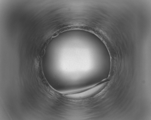 X0000073831257200608311859