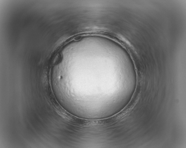 X0000073831259200608311859