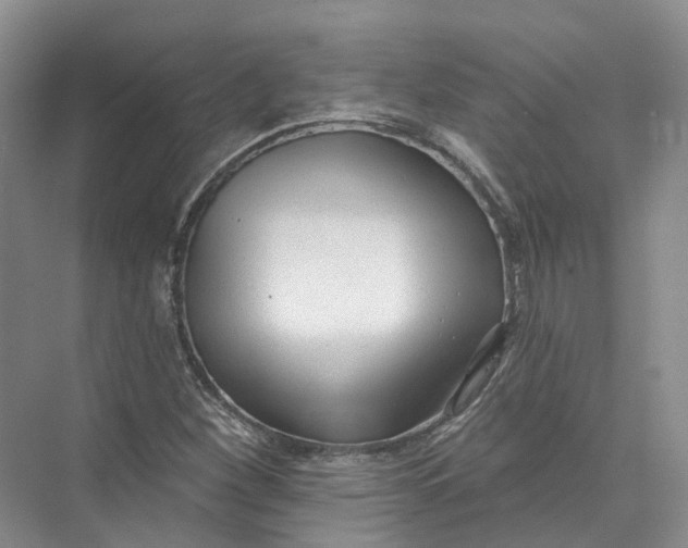 X0000073831260200608311859