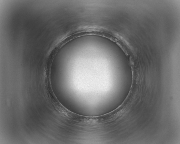 X0000073831261200608311859