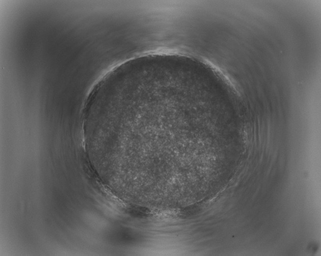 X0000073831262200608311859