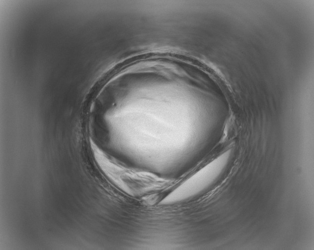 X0000073831263200608311859