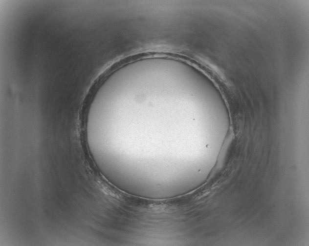 X0000073831264200608311859