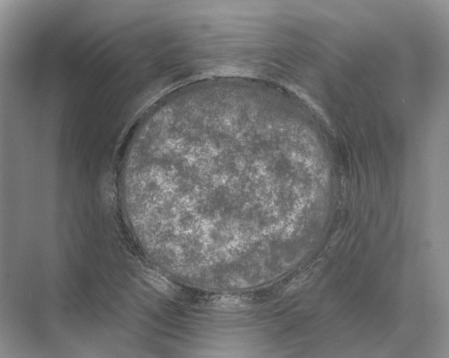 X0000073831266200608311859