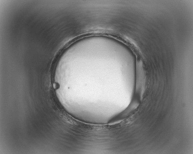 X0000073831267200608311859