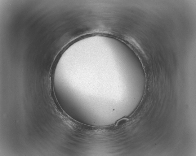 X0000073831268200608311859