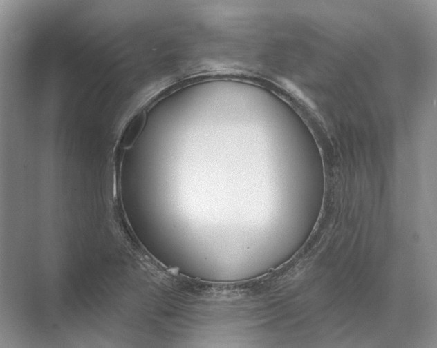 X0000073831269200608311859