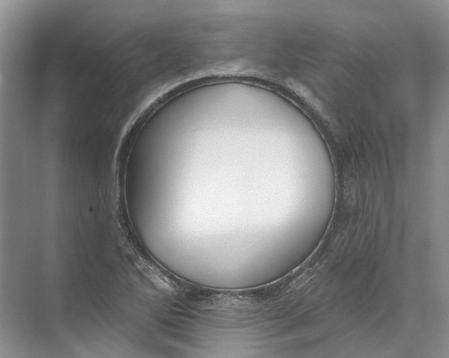 X0000073831270200608311859