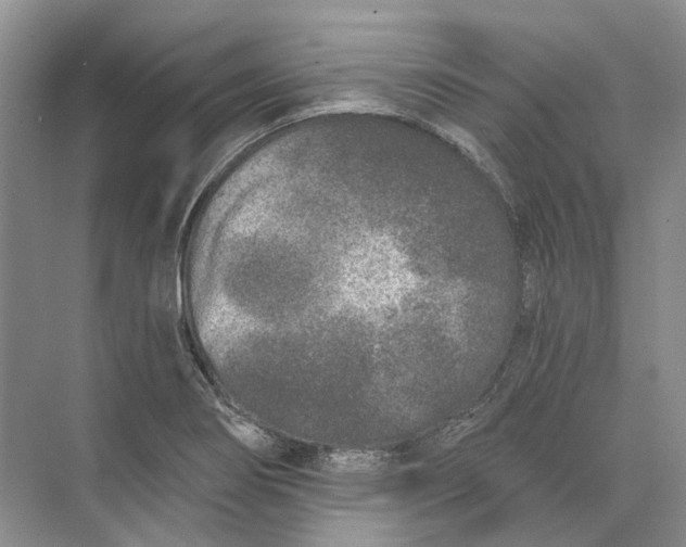 X0000073831274200608311859