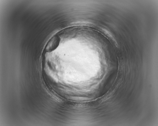 X0000073831275200608311859