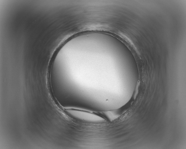 X0000073831277200608311859