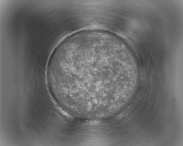 X0000073831278200608311859