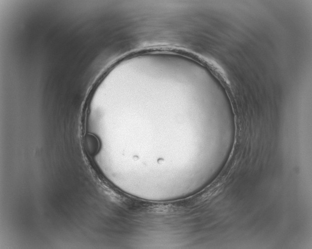 X0000073831279200608311859