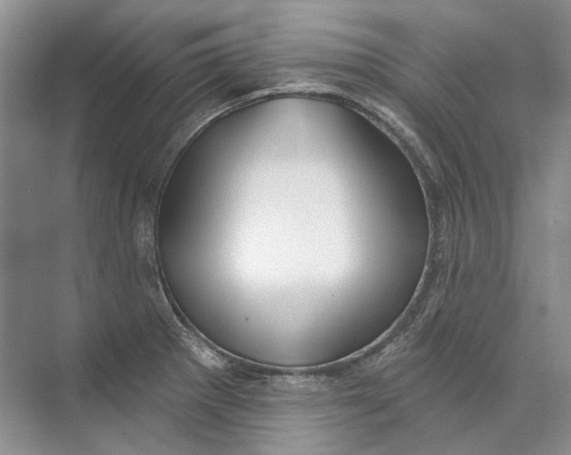 X0000073831281200608311859