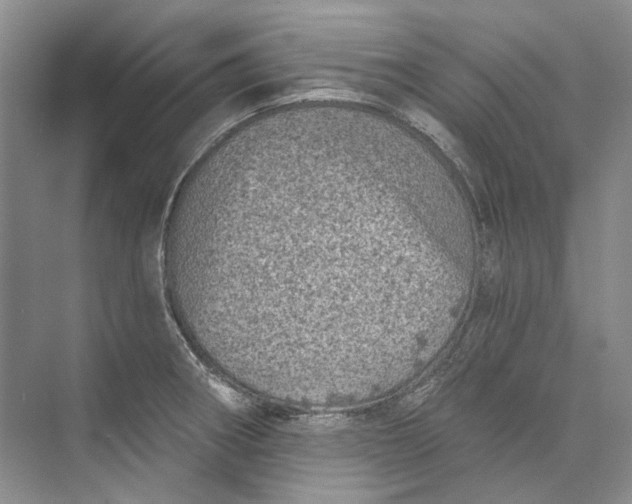 X0000073831282200608311859