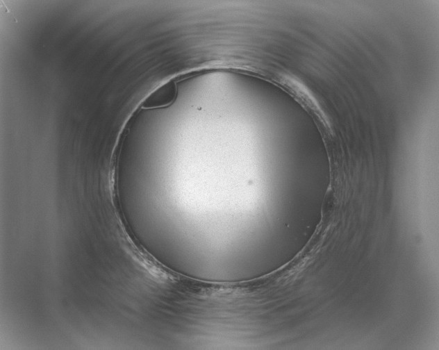 X0000073831284200608311859