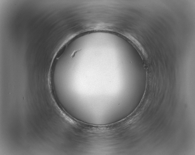 X0000073831285200608311859