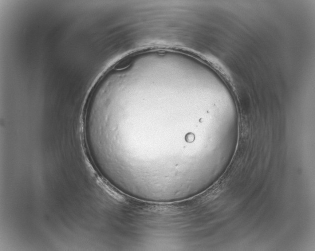 X0000073831287200608311859