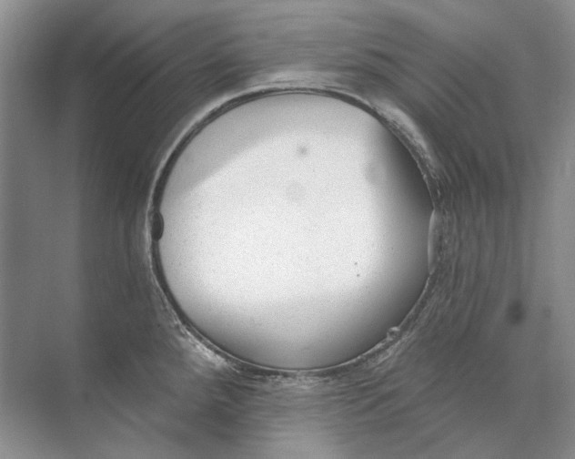 X0000073831288200608311859