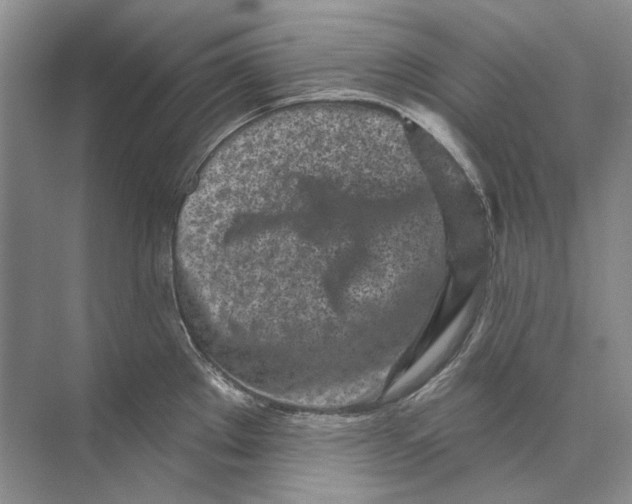 X0000073831289200608311859