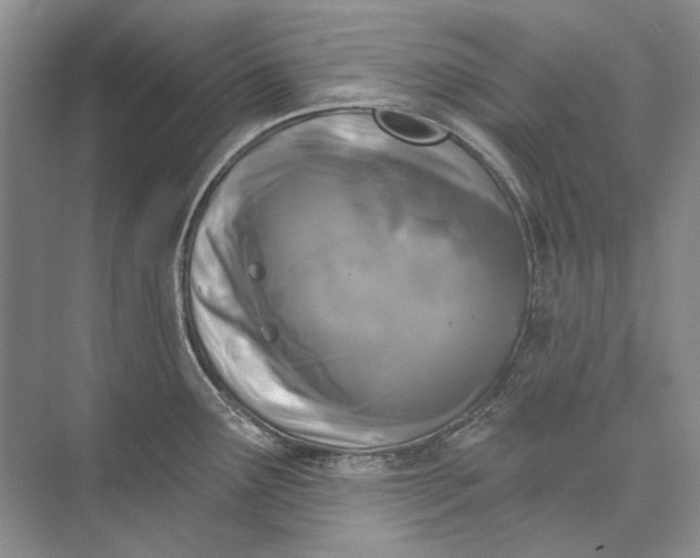 X0000073831291200608311859