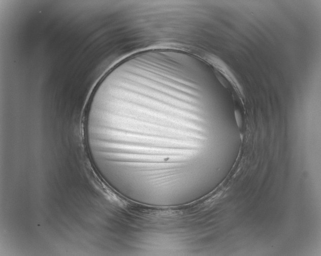 X0000073831292200608311859