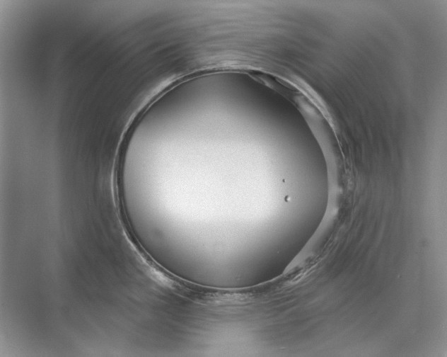 X0000073831293200608311859