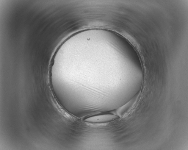 X0000073831296200608311859