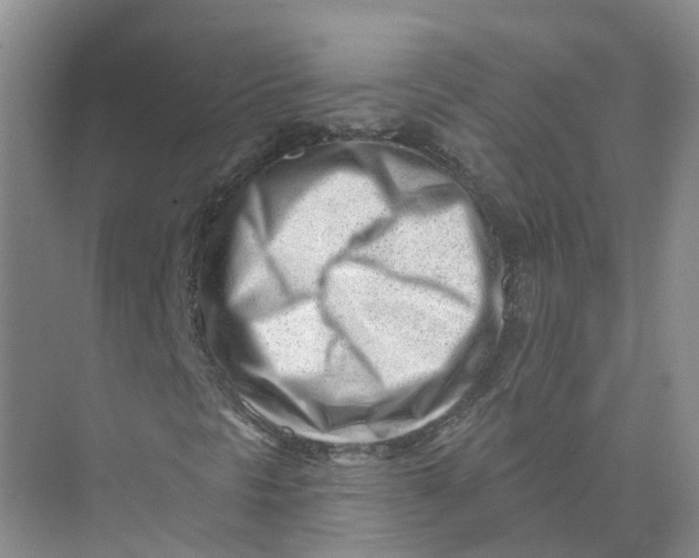 X0000073831297200608311858