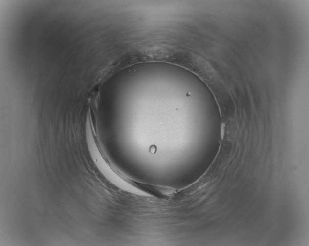 X0000073831298200608311858