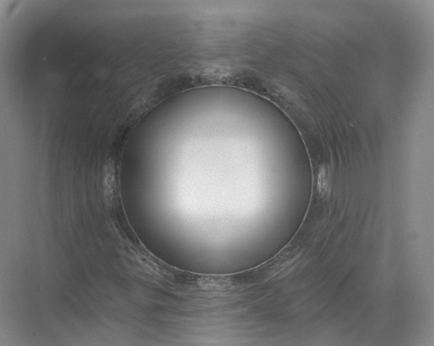 X0000073831299200608311858