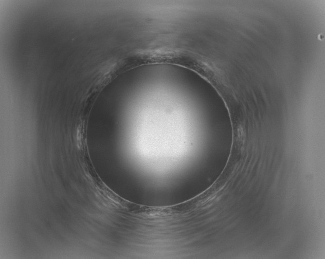 X0000073831300200608311858