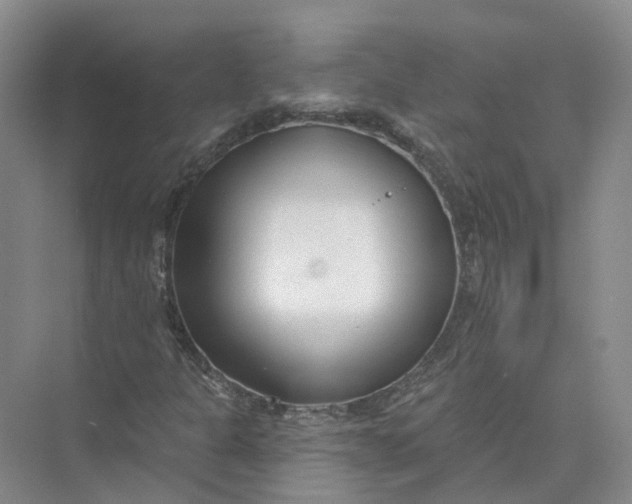 X0000073831301200608311858