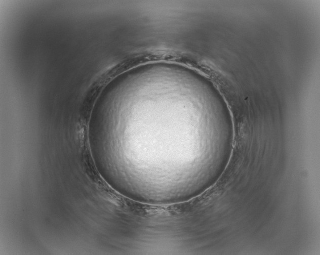 X0000073831302200608311858