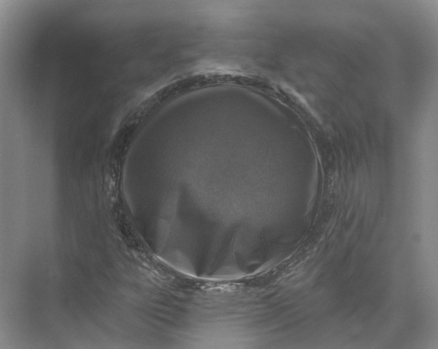 X0000073831303200608311858