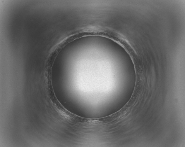 X0000073831304200608311858