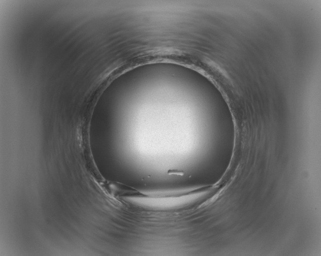 X0000073831305200608311858