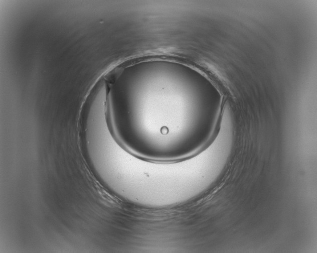 X0000073831308200608311858