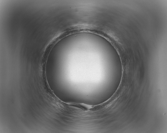 X0000073831309200608311858