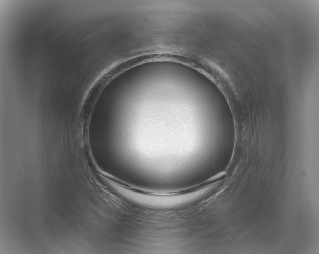 X0000073831310200608311858