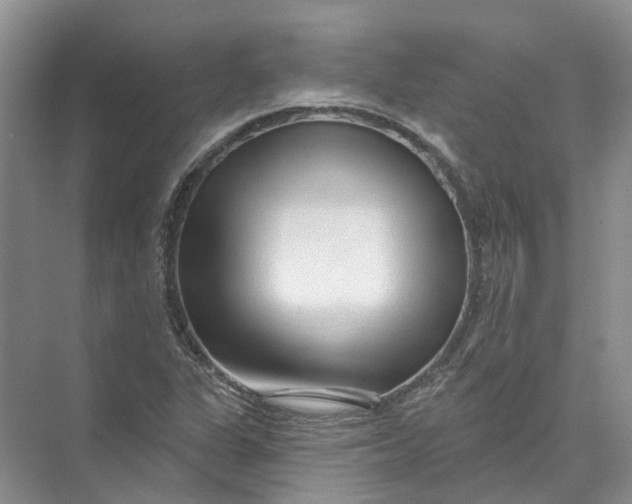 X0000073831311200608311858