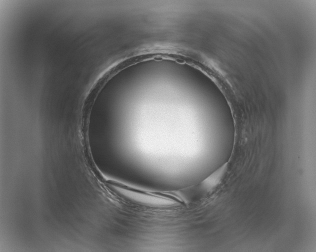 X0000073831312200608311858