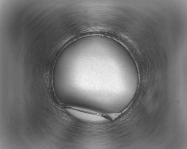 X0000073831313200608311858