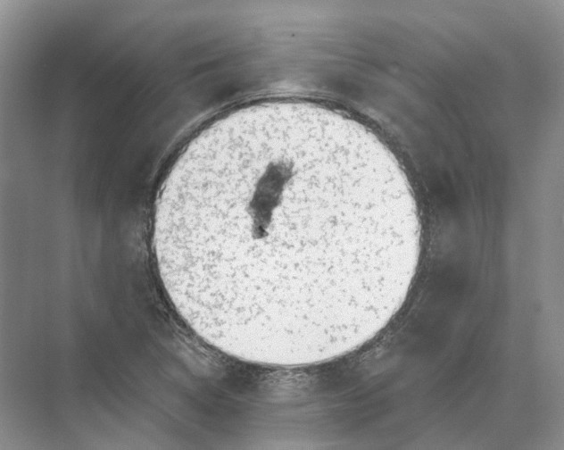 X0000073831314200608311858