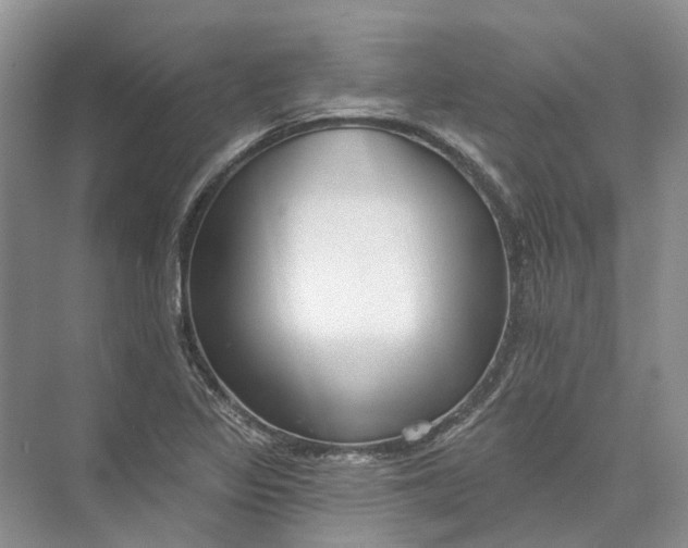 X0000073831317200608311858