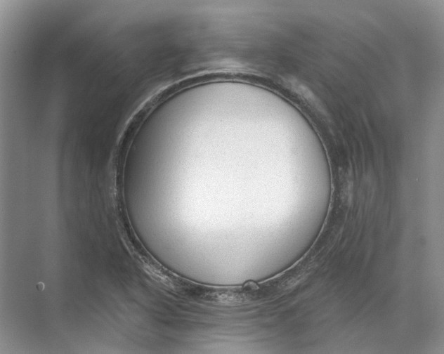 X0000073831318200608311858