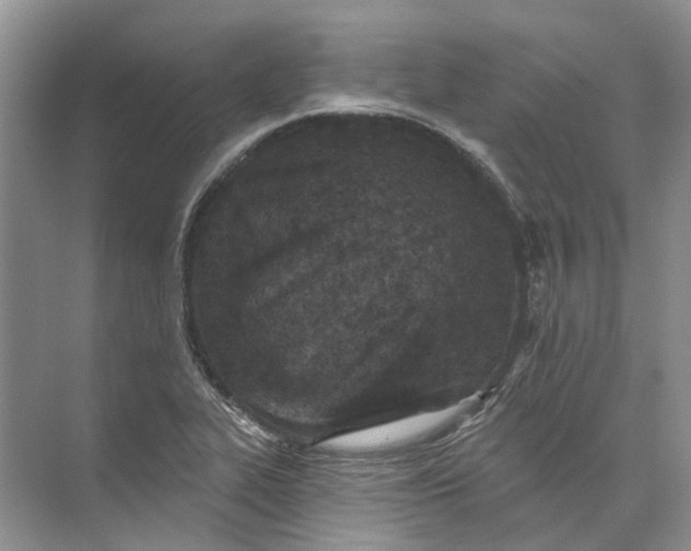 X0000073831319200608311858