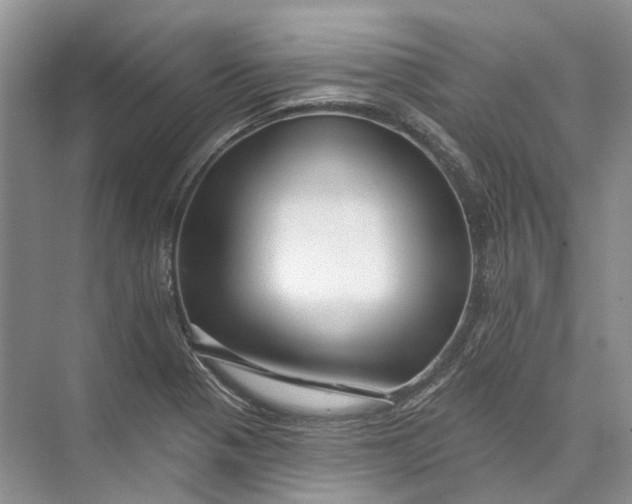 X0000073831321200608311858